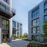 Urban-facing courtyards connect with ones looking out over the wetlands to ‘stitch’ these two contexts together with oblique views.