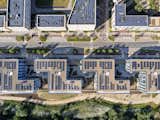 Rubicon acts as the urban threshold to the wetlands beyond