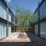 Central Patio
