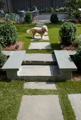 The family dog loves to play in the new backyard - it was imperative to make the space safe and suitable for him, as well as the human residents.
