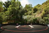 Allure | Michael Jordan-inspired basketball/sports court