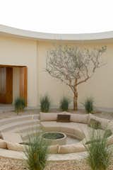 The patio