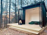In the forest