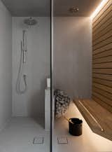 Primary bathroom - shower and sauna