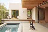 Looking back with Cosmo the dog