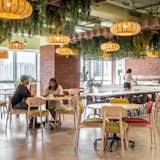 The cafeteria, where warm lights, earthy brick-clad walls, and ceilings adorned with greenery create a welcoming atmosphere.