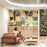 Integration of biophilia creating tranquil spaces such as zen gardens and acoustically treated areas