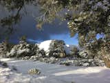 Winter Snowfall 