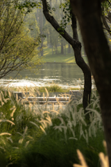 WILDERNESS IMPRISONED IN WILDERNESS  Photo 6 of 15 in Luxelakes C7 South Golden Bay Model Island by MaiWei Landscape Architecture Studio