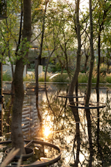 WILDERNESS ARTISTIC  Photo 10 of 15 in Luxelakes C7 South Golden Bay Model Island by MaiWei Landscape Architecture Studio