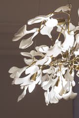 Dining Room Chandelier