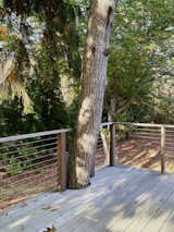 The new deck embraces the older trees
