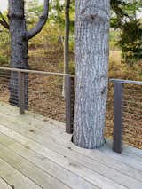 The new deck embraces the older trees