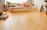 3. Section Image 2: Bamboo flooring with recycled furniture in a bright living room.