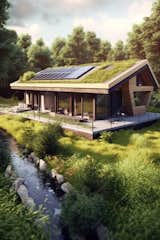 1. Header Image: A modern eco-friendly home with a green roof and solar panels.
