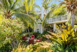 Lush tropical landscape