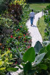 Dynamic pathways along the layering of plants.