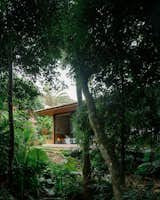 In the jungle