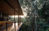 House and nature