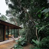 Back facade: the house and trees