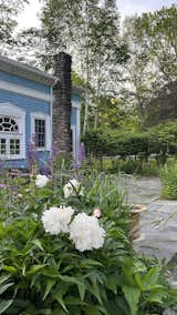 blooming gardens