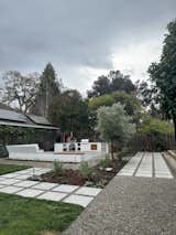 A sustainable and beautiful outdoor living solution featuring drought-tolerant backyard landscaping design with gravel ground cover, citrus and olive trees, native grasses and hearty salvias. 