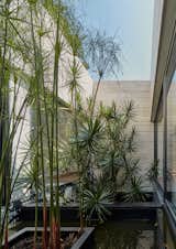 The interior garden becomes the heart of the project.