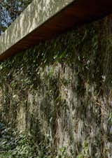 The facade walls are softened by shrubs and climbers.
