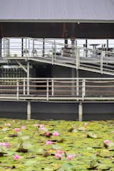 existing lotus pond with main building