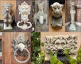 A few of the creatures around the house.