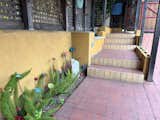 Front Steps