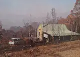 Before: The cabin has narrowly escaped disaster twice, first surviving the 2003 Gippsland fires, which burned for 60 days and destroyed 41 homes, and again during the 2019 Black Summer fires that stopped just 50 metres away.