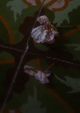 Flower and Tiles, Casa Puuc