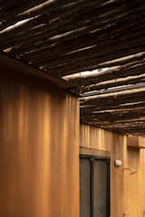 Diffused sunlight through Casuarina roofing
