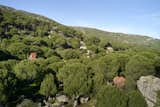 Cabin in Woods Aerial View