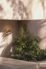 Facade detail with vegetation and Casa Simera sign