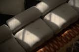 Soft shadows dance across the plush.
