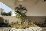 A serene entrance porch where soft landscaping meets textured surfaces.