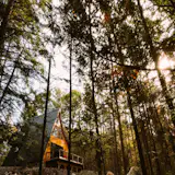 Tucked into the woods of Freeport, Maine