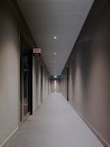 Ground floor corridor, unified by same paint shades
